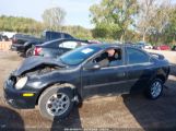 DODGE NEON SXT photo