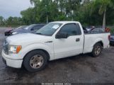 FORD F-150 STX/XL/XLT снимка