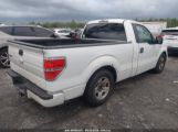 FORD F-150 STX/XL/XLT снимка