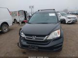 HONDA CR-V SE photo