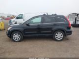 HONDA CR-V SE photo