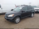 HONDA CR-V SE photo