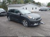 KIA NIRO EX снимка