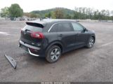 KIA NIRO EX снимка