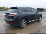 LEXUS RX 350 photo