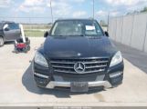 MERCEDES-BENZ ML 350 photo