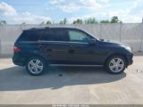 MERCEDES-BENZ ML 350 photo