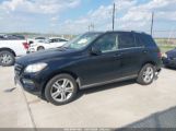 MERCEDES-BENZ ML 350 photo