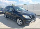 MERCEDES-BENZ ML 350 photo