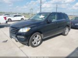 MERCEDES-BENZ ML 350 photo