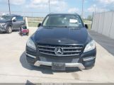 MERCEDES-BENZ ML 350 photo