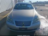 LEXUS ES 350 photo