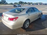 LEXUS ES 350 photo