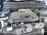 HYUNDAI ACCENT GLS KMHCN46C88U****** снимка