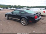 Ford Mustang V6 1ZVFT80N965208303 снимка