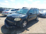 Mitsubishi Endeavor Ls 4A4MM31S46E078874 снимка