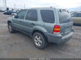 Ford Escape Xlt 1FMYU03115KA41630 снимка