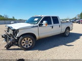FORD F-250 XLT 1FT7W2A64EE****** снимка