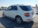 MERCEDES-BENZ ML 350 photo