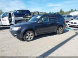 SUBARU FORESTER 2.5X PREMIUM JF2SH6CC3AG****** fotografie