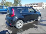 KIA SOUL + photo