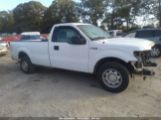 FORD F-150 XL photo