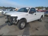 FORD F-150 XL photo