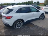 FORD ESCAPE SE HYBRID 1FMCU0BZ8MUA59353 fotografie