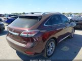 LEXUS RX 350 photo