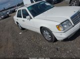 MERCEDES-BENZ E 320 photo