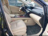 LEXUS RX 350 photo