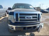 FORD F-150 FX4/HARLEY-DAVIDSON/KING RANCH/LARIAT/PLATINUM/XL/XLT снимка