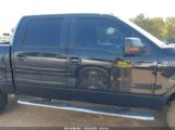 FORD F-150 FX4/HARLEY-DAVIDSON/KING RANCH/LARIAT/PLATINUM/XL/XLT снимка