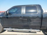 FORD F-150 FX4/HARLEY-DAVIDSON/KING RANCH/LARIAT/PLATINUM/XL/XLT снимка