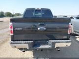 FORD F-150 FX4/HARLEY-DAVIDSON/KING RANCH/LARIAT/PLATINUM/XL/XLT снимка