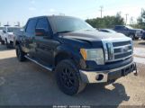 FORD F-150 FX4/HARLEY-DAVIDSON/KING RANCH/LARIAT/PLATINUM/XL/XLT снимка