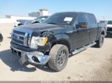 FORD F-150 FX4/HARLEY-DAVIDSON/KING RANCH/LARIAT/PLATINUM/XL/XLT снимка