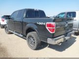 FORD F-150 FX4/HARLEY-DAVIDSON/KING RANCH/LARIAT/PLATINUM/XL/XLT снимка