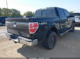 FORD F-150 FX4/HARLEY-DAVIDSON/KING RANCH/LARIAT/PLATINUM/XL/XLT снимка