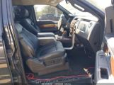 FORD F-150 FX4/HARLEY-DAVIDSON/KING RANCH/LARIAT/PLATINUM/XL/XLT снимка