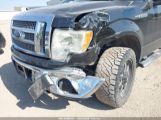 FORD F-150 FX4/HARLEY-DAVIDSON/KING RANCH/LARIAT/PLATINUM/XL/XLT снимка