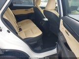 LEXUS NX 300H JTJBJRBZ1K2****** снимка