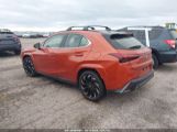 LEXUS UX 250H F SPORT HANDLING photo