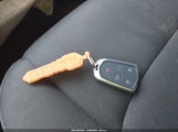 Miniaturka zdjęcia 11