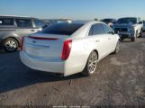 CADILLAC XTS LUXURY photo