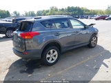 TOYOTA RAV4 XLE JTMRFREV1DD****** fotografie
