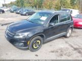 VOLKSWAGEN TIGUAN SE photo