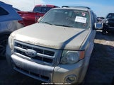 FORD ESCAPE LIMITED 1FMCU0EG3BK****** fotografie