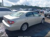 LEXUS ES 300 снимка