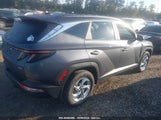 Hyundai Tucson Sel KM8JBCAE2PU247920 снимка